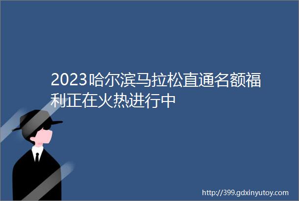 2023哈尔滨马拉松直通名额福利正在火热进行中